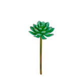 Bouquet di Ranuncoli ed Eucalipto